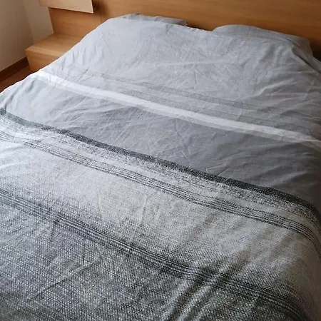 Deer Vlakbij Zee
