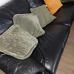 Deer Vlakbij Zee