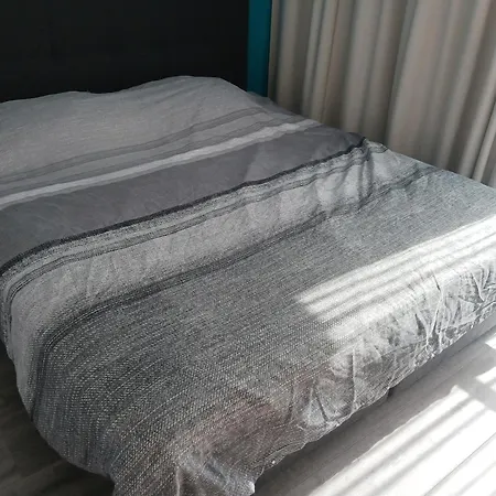 Deer Vlakbij Zee * Ostend