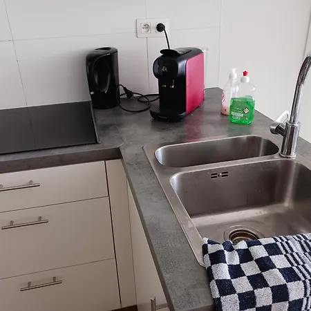 Deer Vlakbij Zee * Ostend